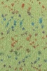 1127.0044 - limone
