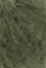 1149.0217 - fern