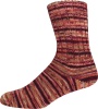 2454 - pfirsich/dunkelrot/apricot