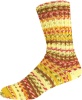 2622 - gelb/braun/rot