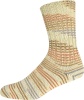 2883 - beige/braun/grau