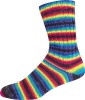 2966 - Regenbogen