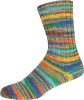 3193 - orange/blau/grün/braun/hellblau