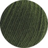 20 - Loden