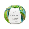 Artikelbild 1 des Artikels “Katia Concept Kanerva Socks 6-fach “