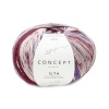 Artikelbild 1 des Artikels “Katia Concept Ilta Socks 4-fach “