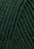 152.0017 - Tanne