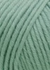 152.0074 - Mint Dunkel