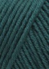 152.0088 - Petrol