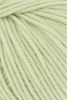 152.0216 - Matcha