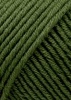 152.0398 - Olive