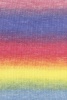 155.0553 - regenbogen