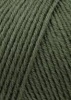 197.0098 - Olive