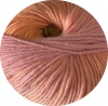 2053 - apricot/orange