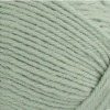 305 - Kohlweissling