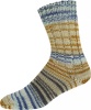 2509 - beige/dunkelblau/hellbraun