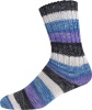 2538 - lila/schwarz/hellgrau/blau