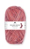 Artikelbild 1 des Artikels “Pro Lana Golden Socks 4-fach Bologna “