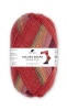 Artikelbild 1 des Artikels “Pro Lana Golden Socks Saas Fee Strech 4-fach “