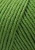 34.0316 - Kiwi
