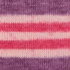 04 - violett-azalee-himbeere-meliert