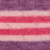 04 - violett-azalee-himbeere-meliert
