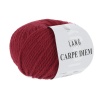Artikelbild 1 des Artikels “Lang Yarns Carpe Diem “