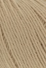 71.0339 - camel