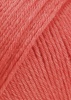 71.0429 - tomatenrot