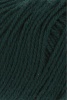 72.0017 - Tanne