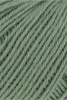 72.0091 - Efeu