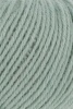 72.0092 - Salbei