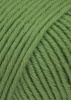 733.0018 - Grasgrün