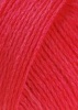 78.0028 - wassermelone