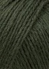 78.0098 - olive