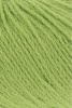 78.0216 - lime