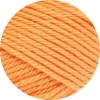 52 - Apricot