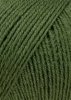 796.0098 - Olive