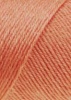 83.0228 - Lachs