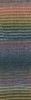 859.0057 - Petrol/Orange/Oliv