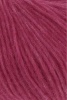 887.0161 - tulpe - reduziert