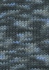 901.0245 - Blueberry
