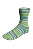 901.0477 - MintChocChip