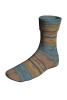 901.0494 - Encke's