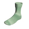 905.0020 - Mint