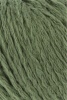 933.0117 - fern