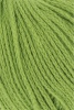959.0117 - grasgrün