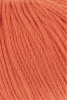 959.0161 - tomate