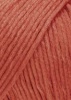 960.0061 - Rot