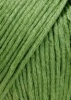 960.0097 - Olive